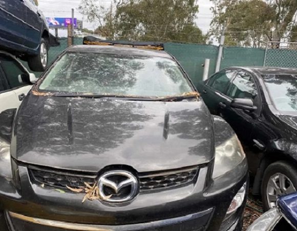 How Much Is My Car Worth in Belmont